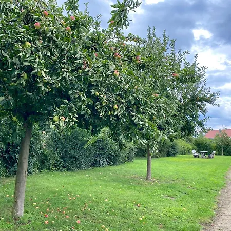 Wiesengefluester E5 - Gruppenfreundlich In Randlage Mit Fasssauna Vakantiehuis *