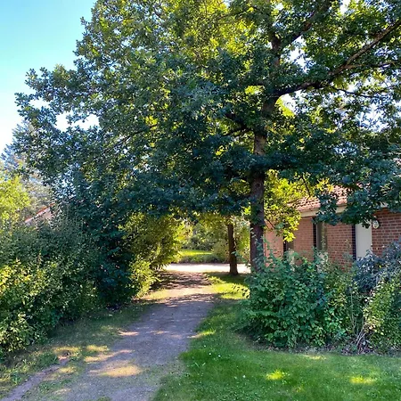 Vakantiehuis Wiesengefluester E5 - Gruppenfreundlich In Randlage Mit Fasssauna Röbel