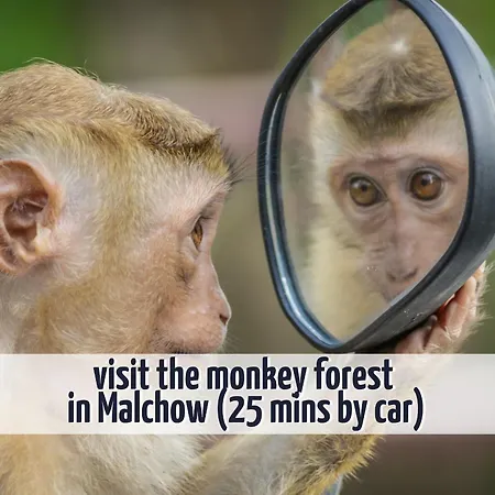 Vakantiehuis Wiesengefluester E5 - Gruppenfreundlich In Randlage Mit Fasssauna Röbel