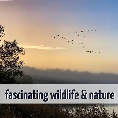 Wiesengefluester E5 - Gruppenfreundlich In Randlage Mit Fasssauna * Röbel