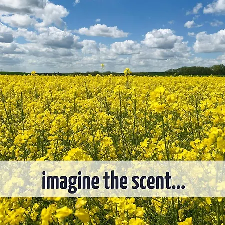 Wiesengefluester E5 - Gruppenfreundlich In Randlage Mit Fasssauna Vakantiehuis