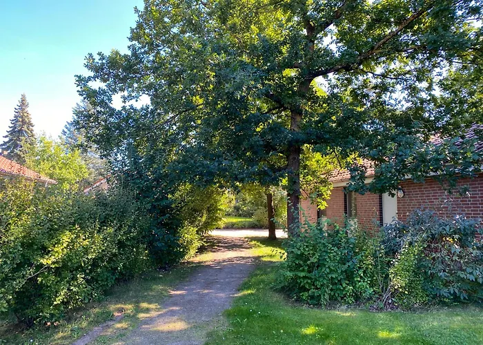 Holiday home Wiesengefluester E5 - Gruppenfreundlich In Randlage Mit Fasssauna Robel